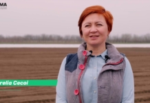 VIDEO | ADMA — dezvoltă o afacere de succes acasă