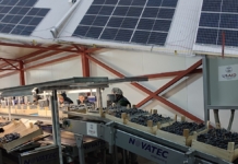 VIDEO | Agricultorii din Criuleni aleg panourile fotovoltaice. O companie vrea să devină independentă energetic