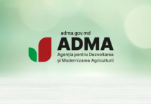 INVITAŢIE DE PARTICIPARE LA PROCEDURA DE OFERTARE pentru „Servicii de audit al Situațiilor financiare pentru anul 2024”