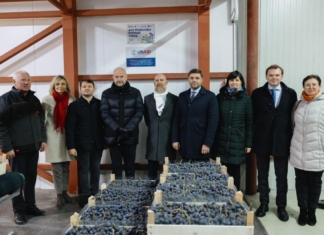 Fani SRL: Am instalat panouri solare ce asigură 40% din necesarul total de energie a întreprinderii