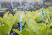 Programul vânzări în rate 2KR în agricultura performantă irigată pentru perioada post-compact