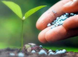 Proiectul Asigurarea Fermierilor cu Fertilizanți (AFF)